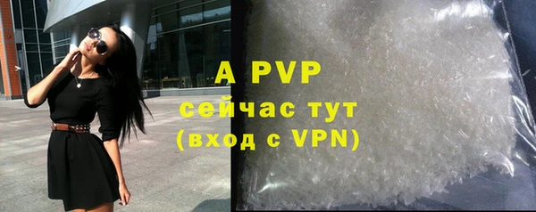 a pvp Бородино